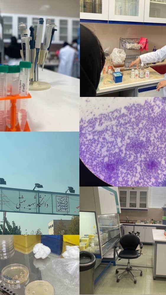 کلاس کشت و رنگ باکتری در آزمایشگاه تخصصی دانشگاه شهید بهشتی مختص خانم دکتر های آینده